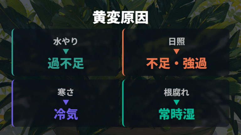 葉が黄色くなる主な原因を最初に整理する
