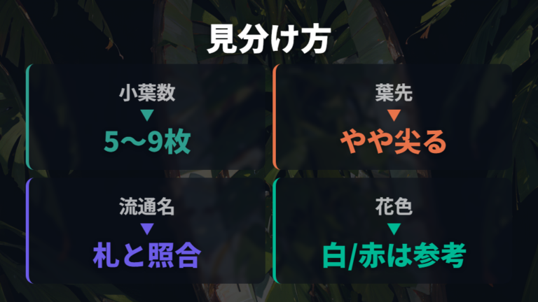 グラブラの特徴と見分け方は葉と流通名を確認する