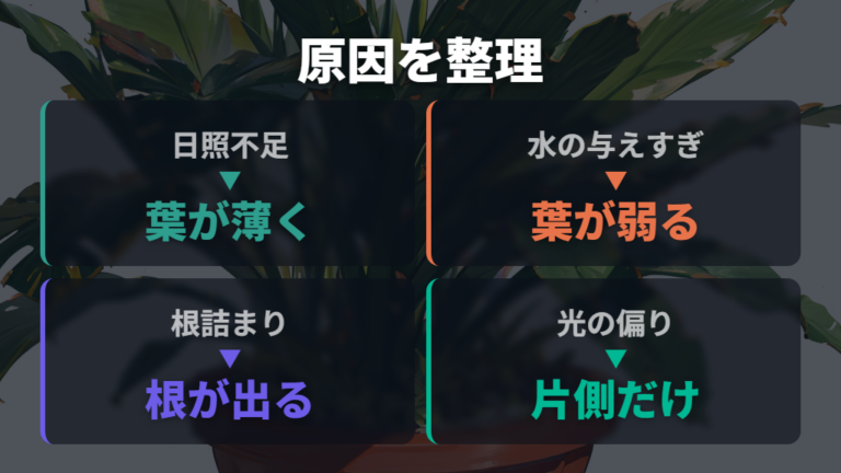 葉が横に広がる主な原因を症状別に整理する