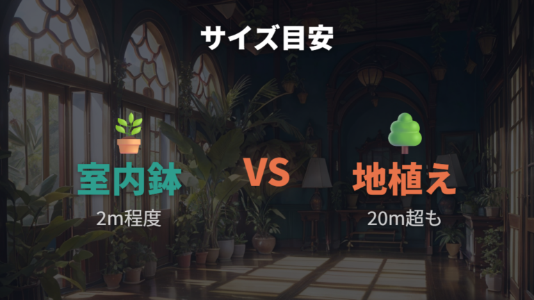 大きくなる年数とサイズ目安を室内と地植えで比べる