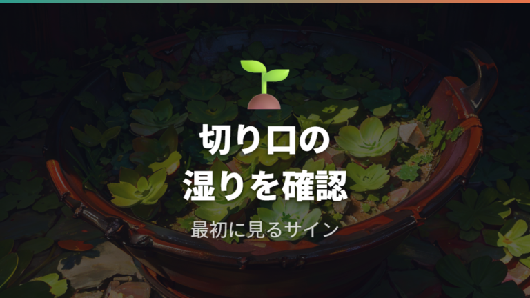 葉挿しが腐る主な原因を切り口と水分から見る