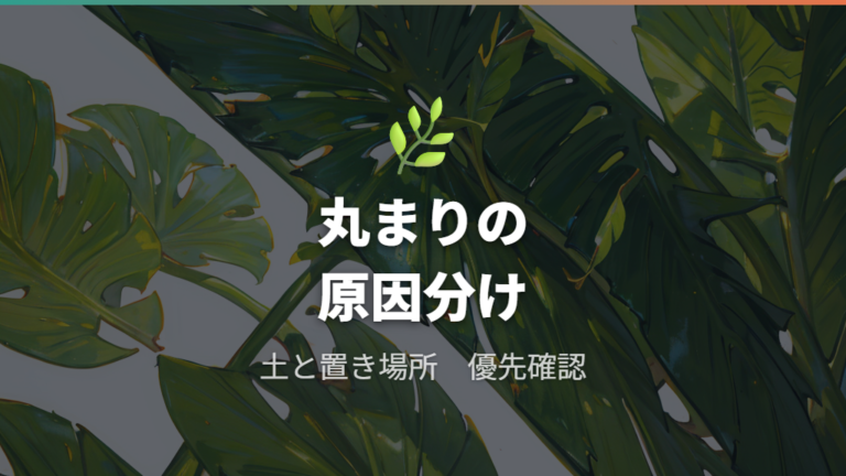 葉が丸まる主な原因を最初に切り分ける