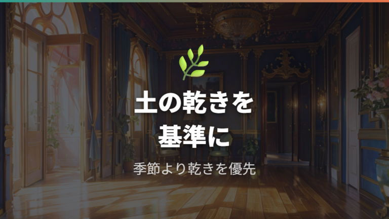 季節ごとの水やり頻度は土の乾きで調整する