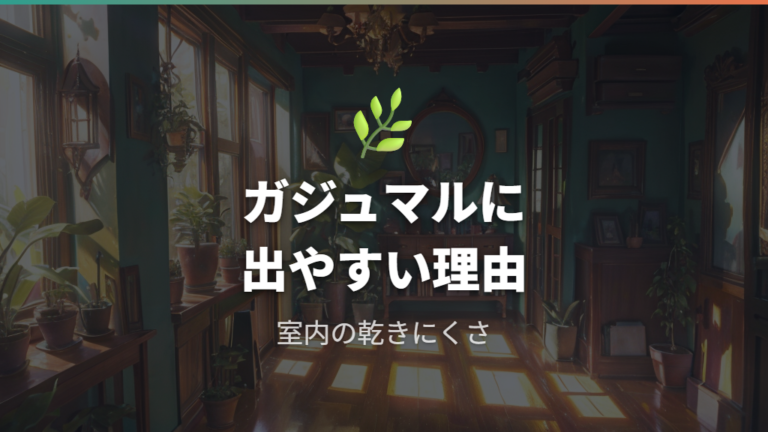 室内の鉢植えガジュマルで出やすくなる理由