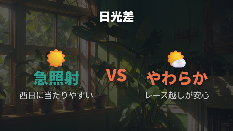 色抜けを招く育て方の失敗は急な日光浴と西日に注意