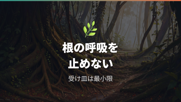水やり後に水を残さない理由は根の呼吸にある