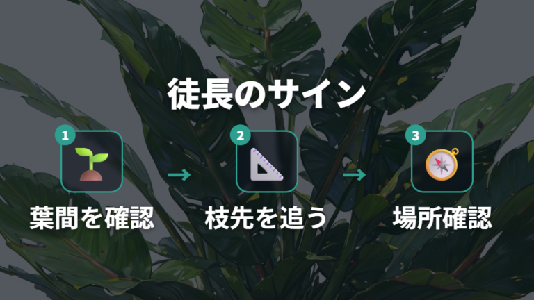 弱い枝に出やすいサインは徒長と葉の間隔で見る