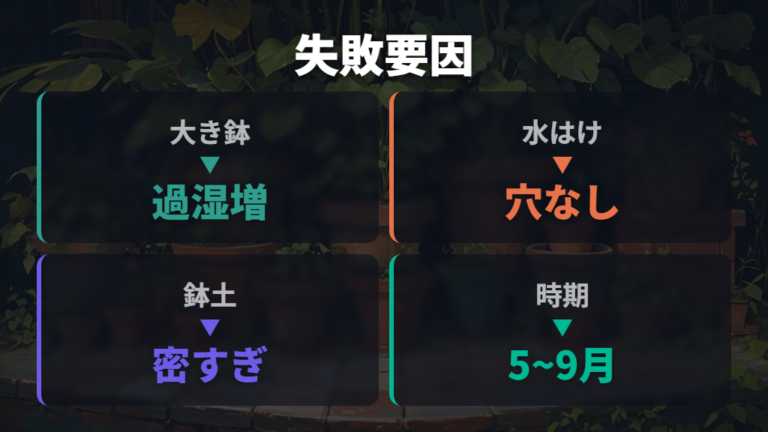 植え替えで失敗しやすい原因を鉢・土・時期で比べる