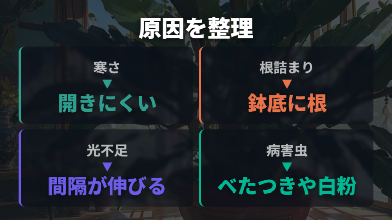 新芽が出ない主な原因を切り分ける