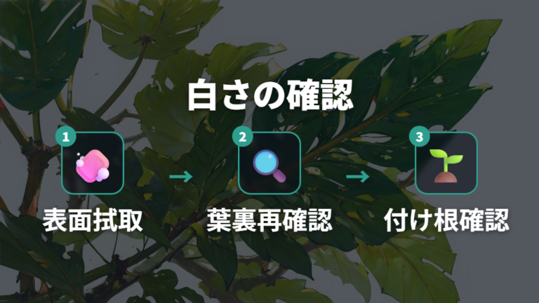 白い斑点と葉色の見分け方は拭き取れるかで分ける