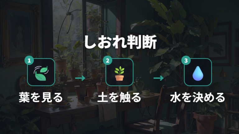 葉がしおれるときの水不足判断は土も一緒に見る