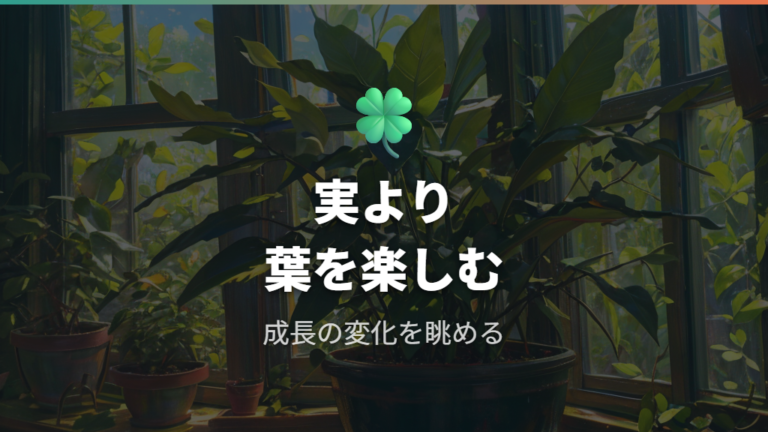 観葉植物として楽しむ方法は実より葉と成長を眺めること