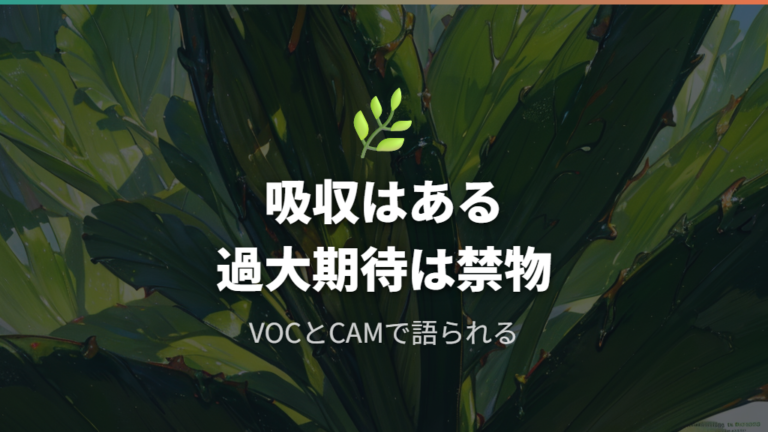 サンスベリアが空気をきれいにする理由はVOC吸収とCAM型光合成