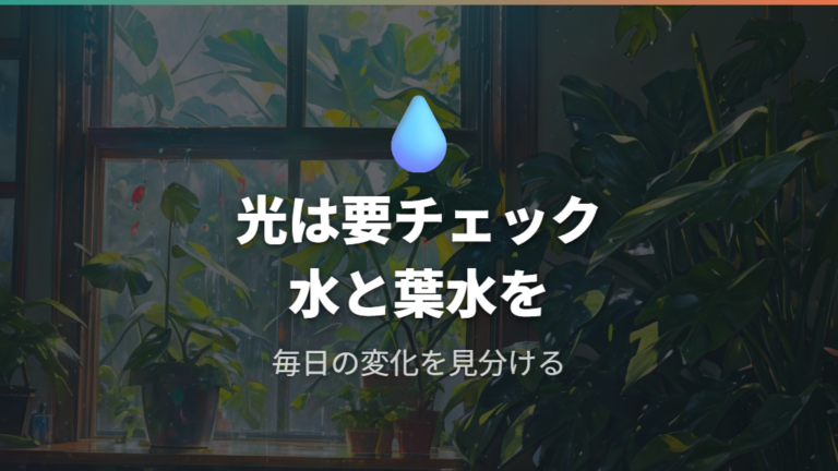 幹立ち株に育てるコツは光・水・葉水を安定させること