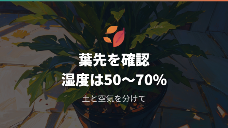 葉の乾燥を防ぐ湿度管理は何%を見ればいい?