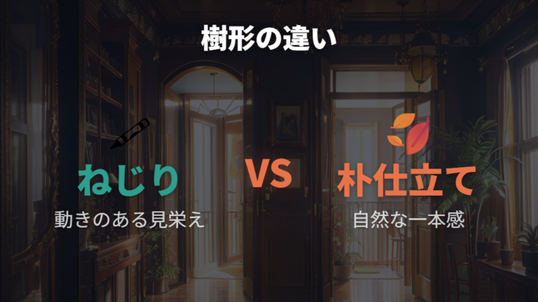 編み込みパキラの魅力はインテリア性と選べる樹形