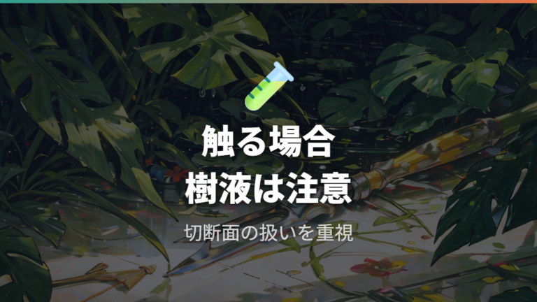 触るだけでも危険なのか樹液との違いで考える