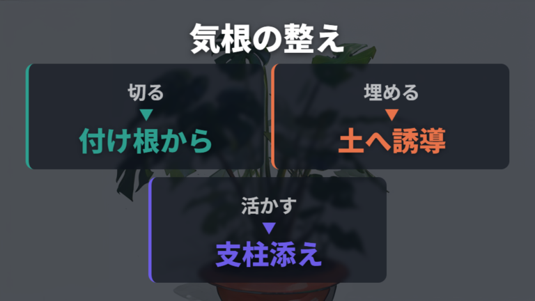 伸びすぎた気根の整え方は切る・埋める・活かすで選ぶ