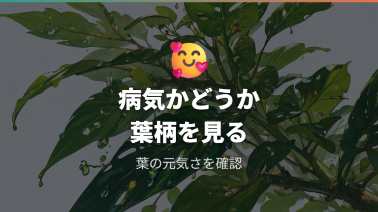 蜜が出るのは病気なのか健康なサインから判断する