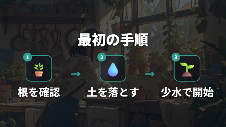 土なし観葉植物の植え替え手順は何から始める?