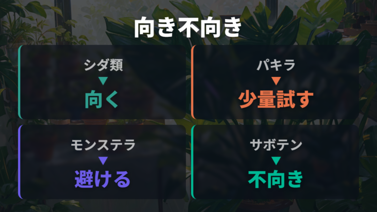 観葉植物への効果と向き不向きは本当にある?