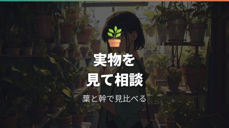 園芸店や花屋で探すポイントは実物確認と相談