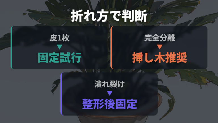 折れ方で変わる切るか残すかの判断を整理する