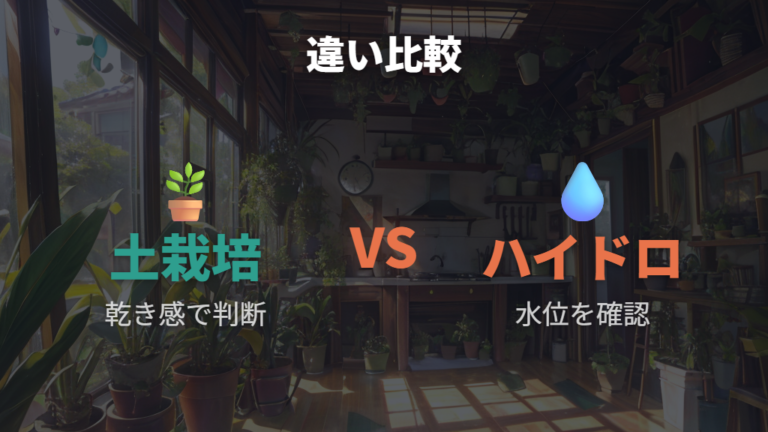 土栽培との違いと注意点を水位・根・成長で比べる