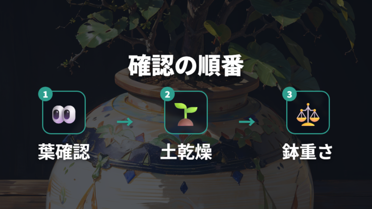 水切れサインの見分け方は葉だけでなく土と鉢の重さも見る