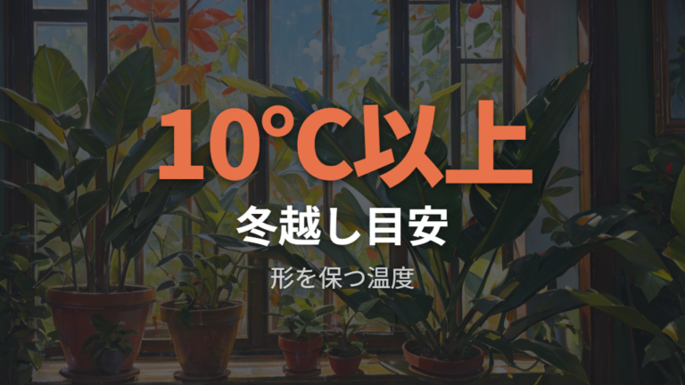 冬越しで弱らせにくい温度の目安は10℃以上だと安心