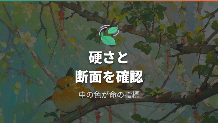 幹で判断する生存状態は硬さと断面を見る