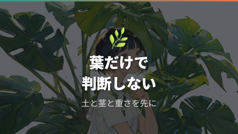 元気がないときの見分け方は葉だけで決めない