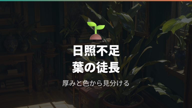 徒長や日照不足との関係は本当に大きい?
