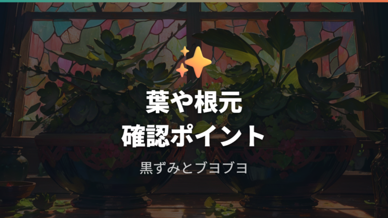 根元や葉が腐るサインはどこを見るか