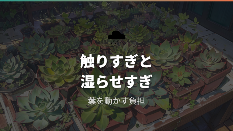 失敗しやすい管理の共通点は触りすぎと湿らせすぎ