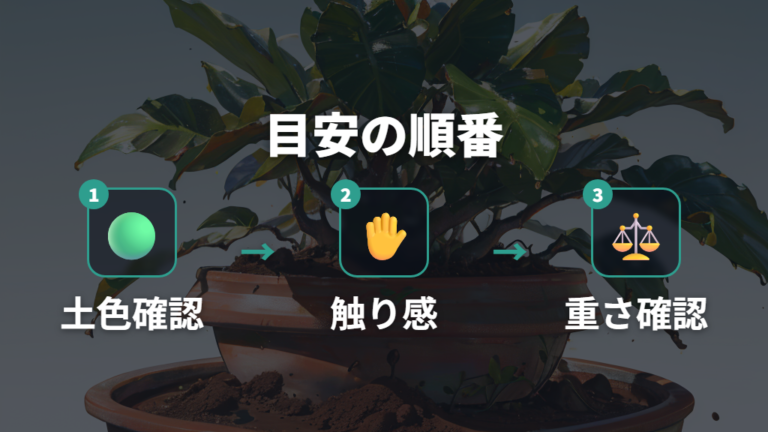 土が乾いてから与える目安はどこを見る？