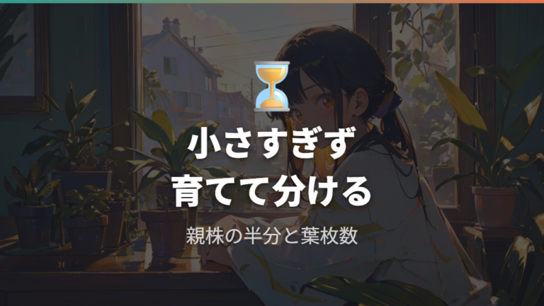 すぐ分けずに待つべき目安を複数見る