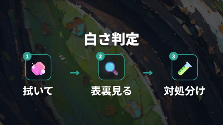 白っぽい葉と斑点の見分け方は拭き取れるかで確認する