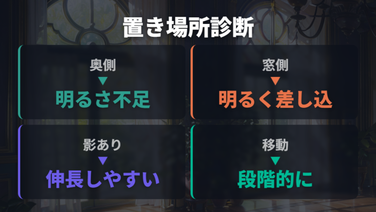 日照不足と徒長の見分け方は置き場所から確認する