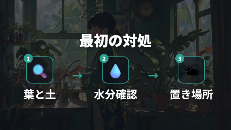 葉が垂れたときの復活方法は水切れと過湿を見分ける
