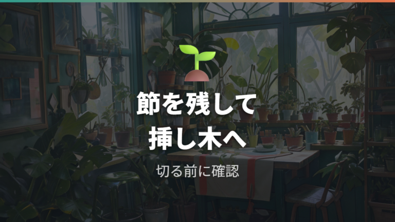 折れた茎を挿し木にする方法は節を残して切る