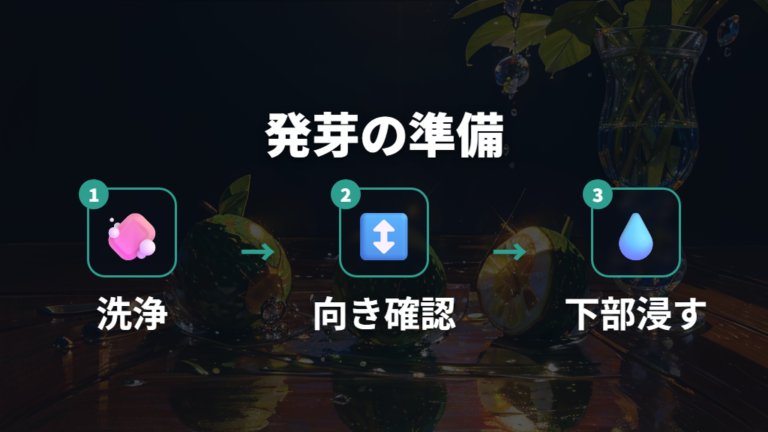 種から発芽させる手順は洗浄と向きが大事
