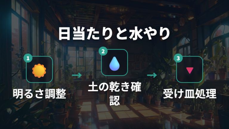 日当たりと水やりの整え方で徒長と根腐れを防ぐ