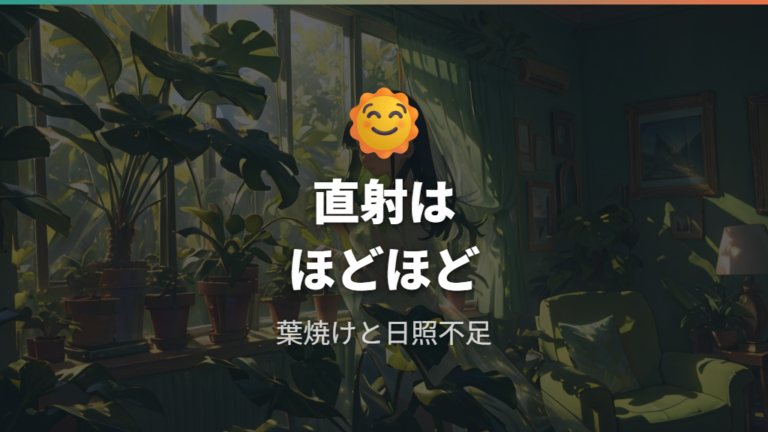 日当たりで葉の成長を促すには直射日光でいい?