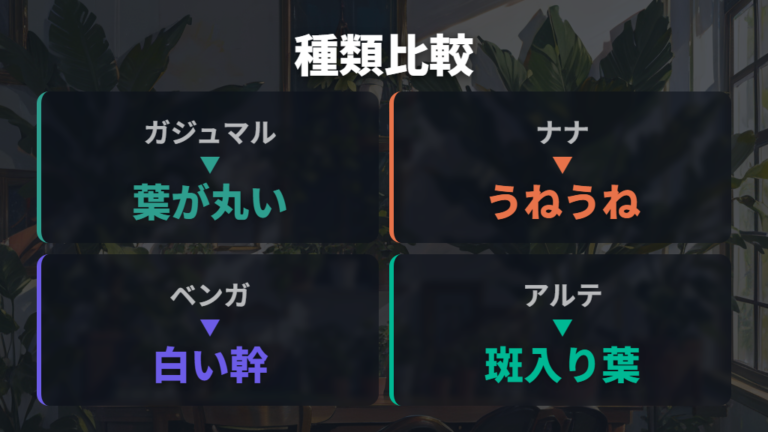ガジュマルに似た候補の見た目の違いを一覧で整理する
