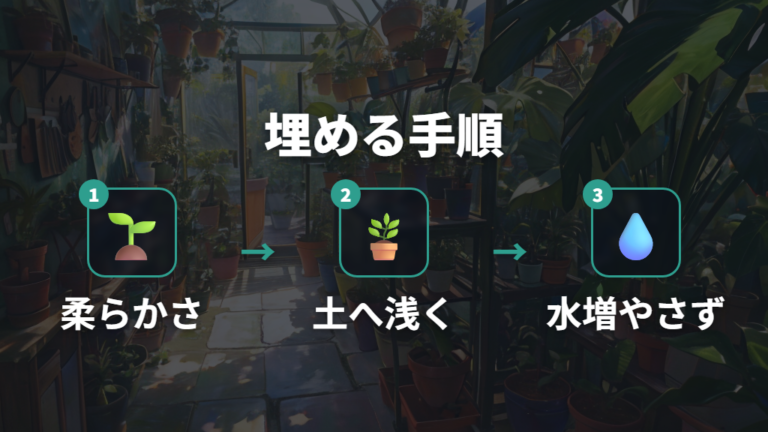 気根を土へ誘導して埋める手順
