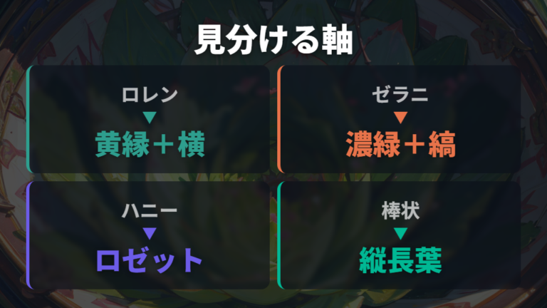 苗の種類と状態の見分け方は形・葉・株元を比べる