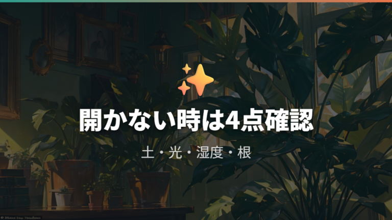 新しい葉が開かない原因は根や環境から見る