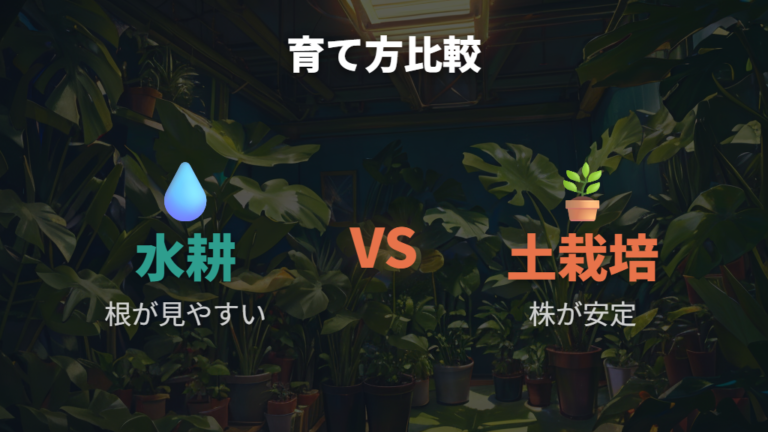水耕栽培と土栽培の違いを目的別に比べる