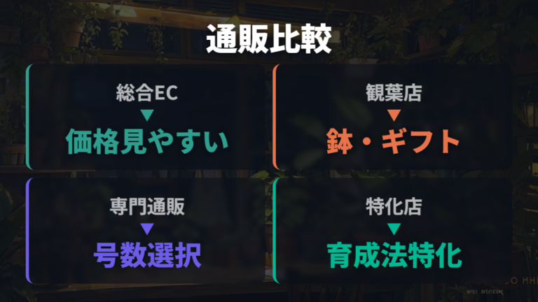 通販で買えるガジュマルの種類を販売先ごとに比べる